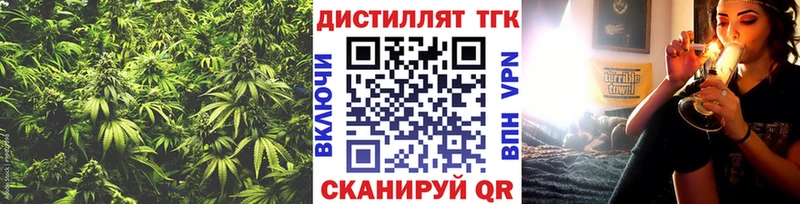 Купить где  Сланцы  ТГК концентрат 